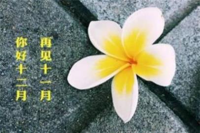 最新元宵节祝福短信